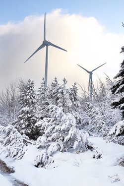 Wind Energy in Japanese Winter