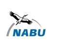 NABU-Papier zu Klimaanpassung: Es geht nicht ohne den Schutz der Natur